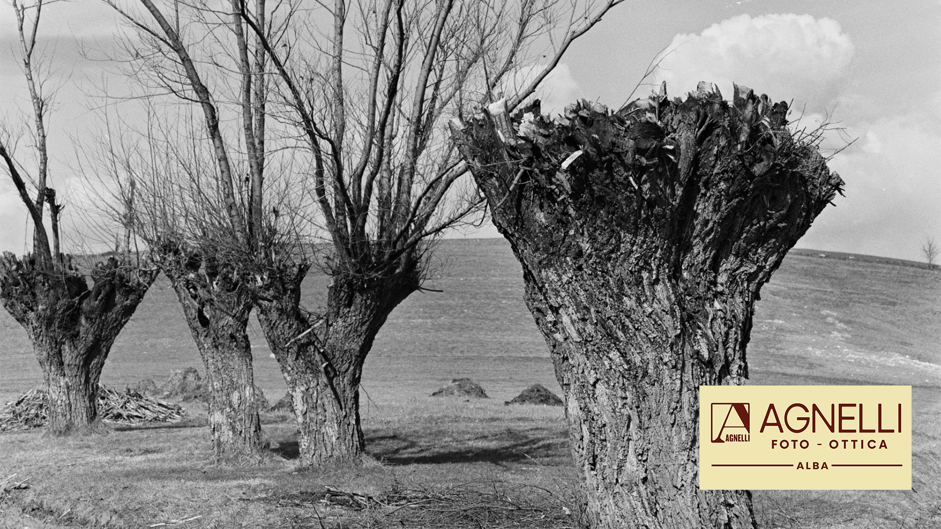 L'importanza della memoria e del valore artistico